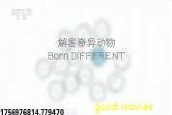 《玻璃樽》电影剧情讲解|爱情喜剧故事与幕后揭秘