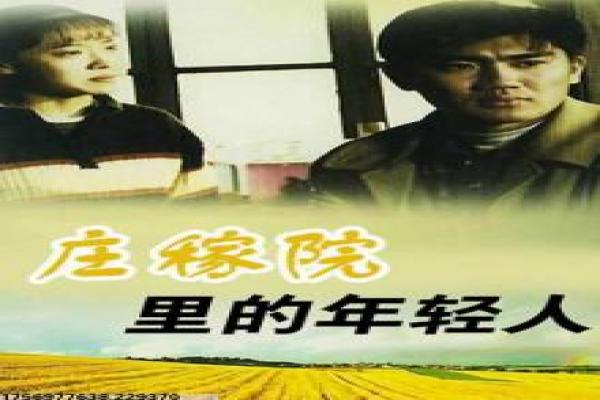 黄土地影视详解全面,故事主题情感