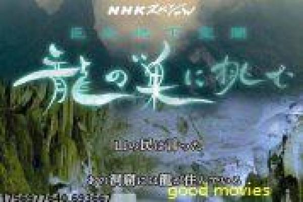 《双旗镇刀客》免费观看完整版详解,刀客双旗的西部武侠与复仇之路
