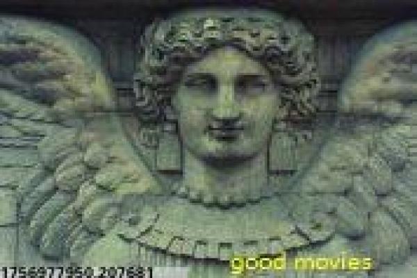 《我在大理寺当宠物》故事背后详解,宠物当大理的穿越萌宠与古装奇幻元素