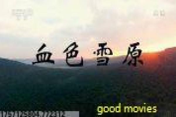 《赛罗奥特曼》影片父子情深与团队合作解析