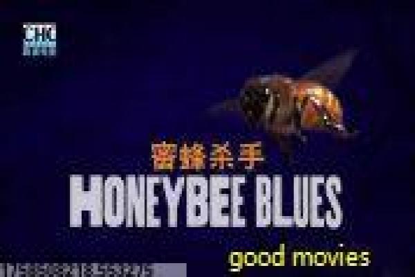 《小花的味噌汤电影版》故事情节深度还原小花味噌汤的治愈故事
