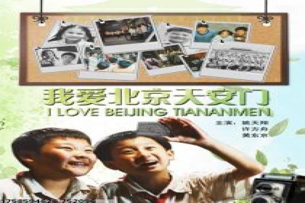 《影子写手》故事情节详解-写手影子的政治