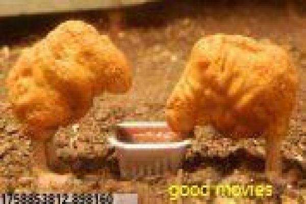 《灵虎爱》影视讲解全析,爱虎灵的奇幻爱情与守护