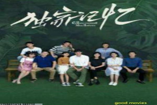龙攀小子-龙攀小子的攀岩冒险,深度解析真