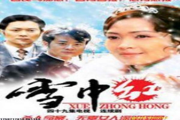霹雳霸王花-霹雳霸王花的女警传奇,详细还