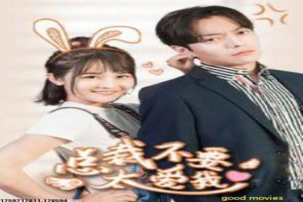 《枪声背后》枪声隐藏背后的悬疑故事情节深度剖析