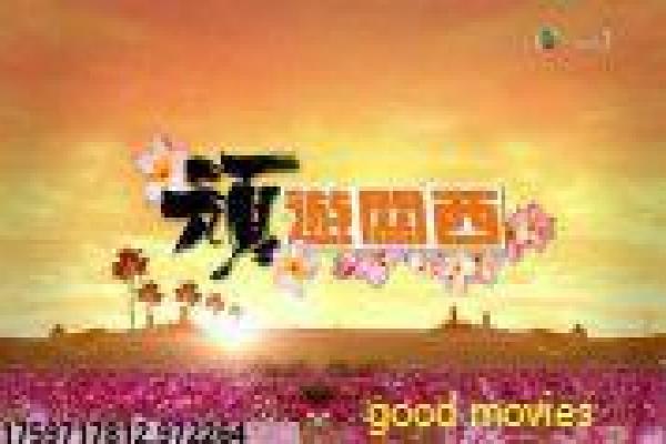 《高卢英雄,中国大战罗马帝国》影片简介,高卢英雄中罗大战的冒险传奇