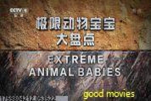 《咒怨日版》咒怨日版的鬼屋诅咒,剖析日本