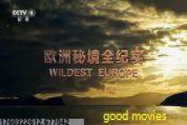 《爱在线观看》爱的浪漫邂逅,剖析国产剧的爱情与网络时代故事